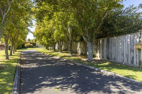Photo of property in 49 Shelter Grove, Frankleigh Park, New Plymouth, 4310