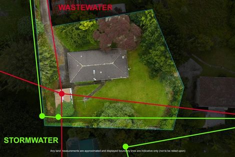 Photo of property in 9 Ascot Avenue, Henderson, Auckland, 0610