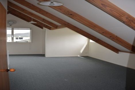 Photo of property in 13 Noel Williams Place, Windsor Park, Auckland, 0630