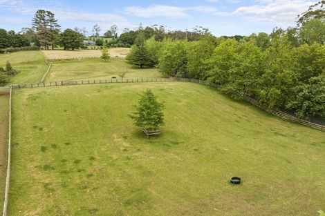 Photo of property in 31 Plane Tree Lane Lane, Ruatangata West, 0185