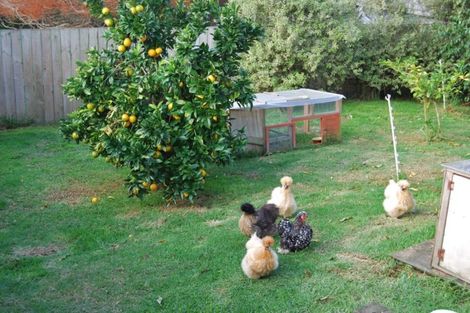 Photo of property in 51 Marshall Road, Kaiwaka, 0573