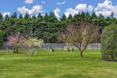 Photo of property in 32 Peacock Place, Swannanoa, Rangiora, 7475