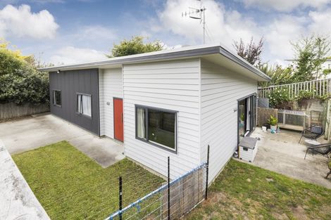 Photo of property in 56a Glasgow Terrace, Feilding, 4702