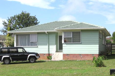 Photo of property in 49 Thornlow Street, Glendene, Auckland, 0602