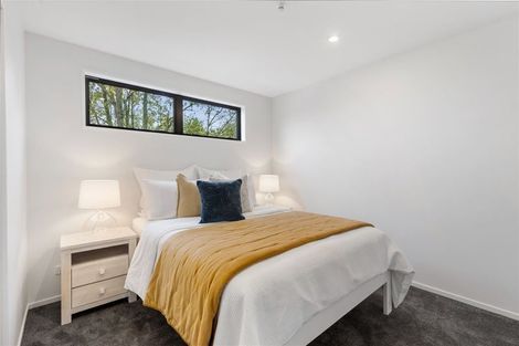 Photo of property in 19d Chatham Street, Addington, Christchurch, 8024