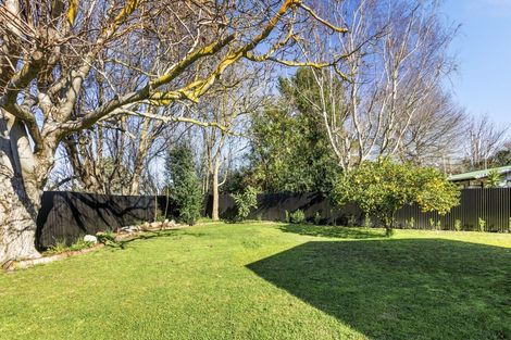 Photo of property in 21b Te Aute Road, Havelock North, 4130