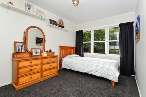 Photo of property in 14 Riverview Terrace, Fairfield, Hamilton, 3214