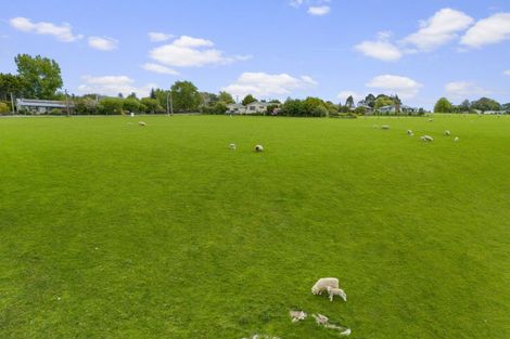 Photo of property in 37 View Street, Stirling, 9231