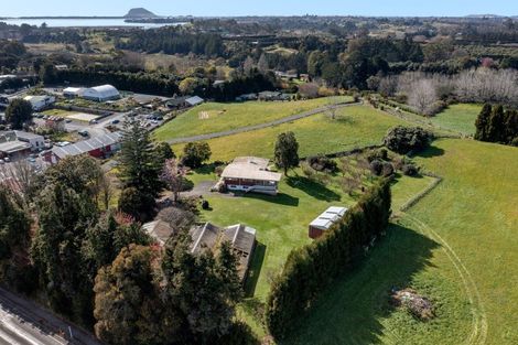Photo of property in 19 Minden Road, Minden, Tauranga, 3176