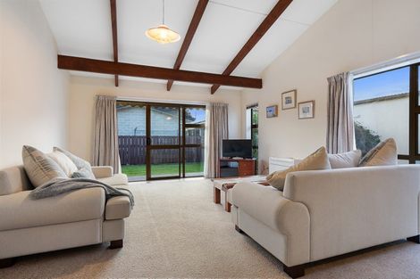 Photo of property in 21a Collingwood Street, The Wood, Nelson, 7010