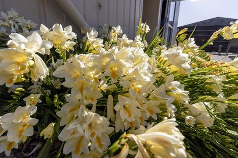 Photo of property in 23a Manawa Avenue, Raumati Beach, Paraparaumu, 5032
