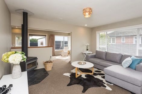Photo of property in 117 Harris Crescent, Papanui, Christchurch, 8053