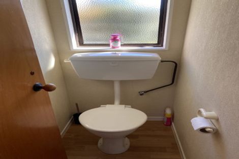 Photo of property in 13 Horne Street, Hamilton Central, Hamilton, 3204