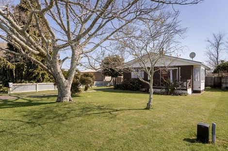 Photo of property in 46 Bracken Street, Whakatane, 3120