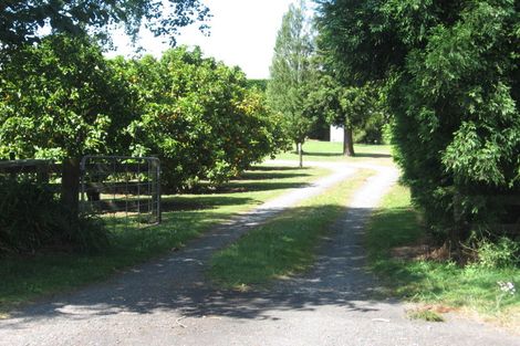 Photo of property in 101 Woodland Road, Tahawai, Katikati, 3170