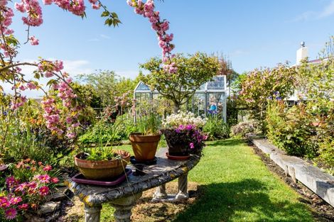 Photo of property in 59 Isadore Road, Saint Clair, Dunedin, 9012