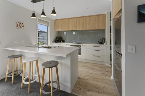 Photo of property in 28 Ascot Street, Richmond, 7020