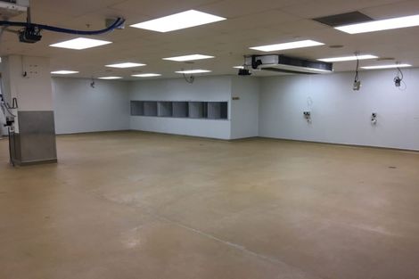 Photo of property in The Lofts, 1/185 Victoria Street, Te Aro, Wellington, 6011