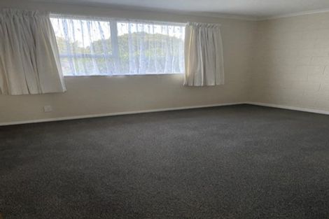 Photo of property in 151 Stanford Street North, Ashhurst, 4810