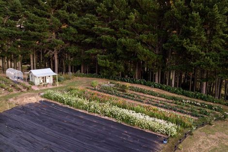 Photo of property in 808 French Pass Road, Karapiro, Cambridge, 3496