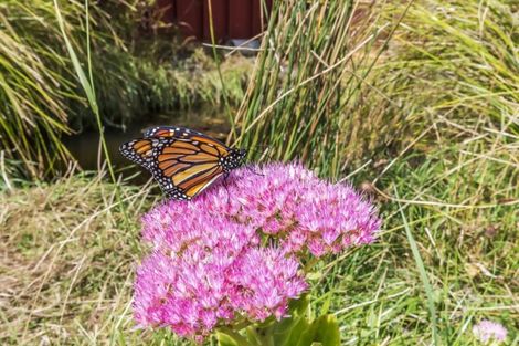 Photo of property in 3/61 Main Road, Titahi Bay, Porirua, 5022