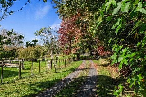 Photo of property in 248 Blackbridge Road, Dairy Flat, Albany, 0794