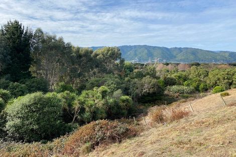 Photo of property in 19 Te Heke Place, Waikanae, 5036