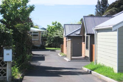 Photo of property in 63b Clarke Street, Gate Pa, Tauranga, 3112