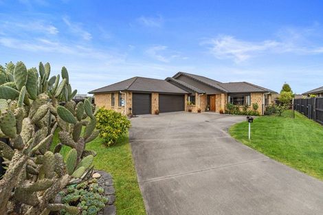 Photo of property in 14 Viking Lane, Flagstaff, Hamilton, 3210