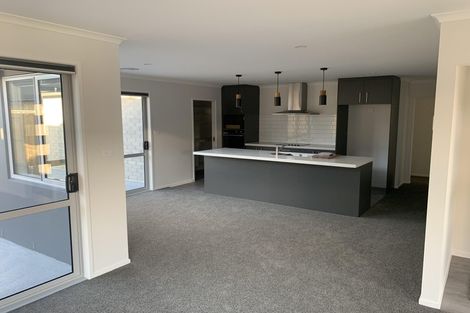 Photo of property in 225 Te Okuroa Drive, Papamoa, 3118