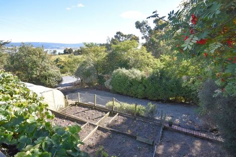 Photo of property in 14 Kilgour Street, Waihola, Milton, 9073