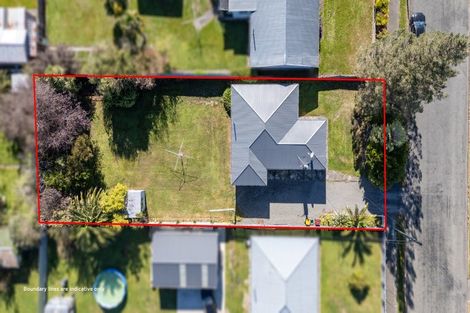 Photo of property in 19 Iorns Street, Masterton, 5810