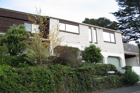 Photo of property in 36 Littlebourne Road, Roslyn, Dunedin, 9010