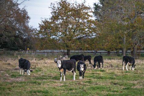 Photo of property in 717 Western Drain Road, Te Teko, Whakatane, 3192