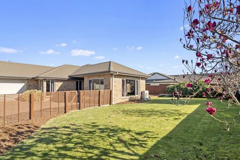 Photo of property in 70 Templemore Drive, Richmond, 7020