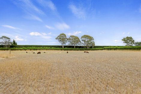 Photo of property in 975 South Eyre Road, Swannanoa, Rangiora, 7476