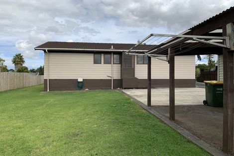 Photo of property in 45 Hooper Avenue, Pukekohe, 2120