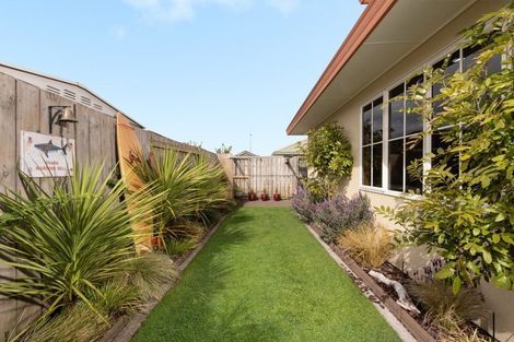Photo of property in 219 Gloucester Road, Mount Maunganui, 3116