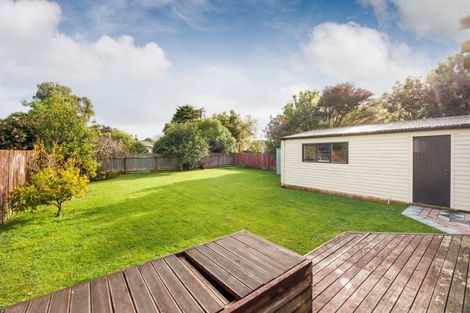 Photo of property in 62 Guy Avenue, Takaro, Palmerston North, 4410
