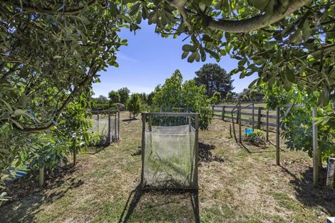 Photo of property in 144 Maungatawhiri Road, Raglan, 3295