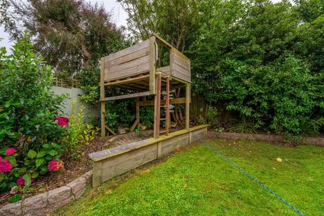 Photo of property in 21 Puriri Street, Highfield, Timaru, 7910