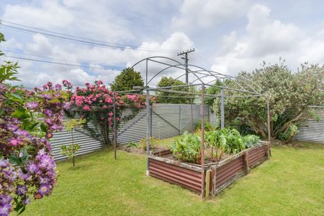 Photo of property in 4 Dundas Place, Awapuni, Palmerston North, 4412