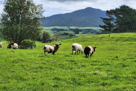 Photo of property in 697 Maungatawhiri Road, Raglan, 3295