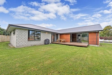 Photo of property in 13 Taiaroa Place, Southbridge, 7602