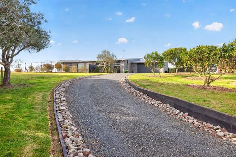 Photo of property in 157e Kaiate Falls Road, Waitao, Tauranga, 3175