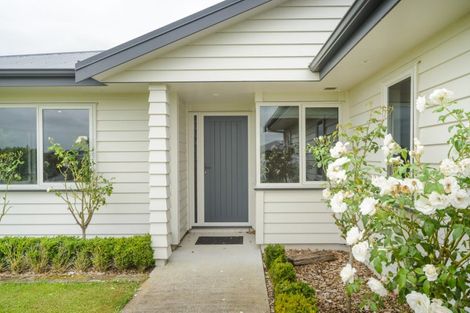 Photo of property in 12 Wapiti Avenue, Feilding, 4775