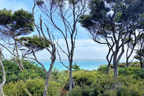 Photo of property in 21 Motutara Drive, Karikari Peninsula, Kaitaia, 0483