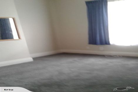 Photo of property in 1 Nile Street, Saint Clair, Dunedin, 9012