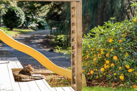 Photo of property in 121c Waimate North Road, Kerikeri, 0293