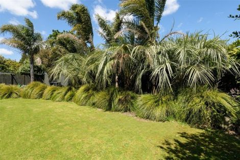 Photo of property in 14a Berwick Place, Mount Maunganui, 3116